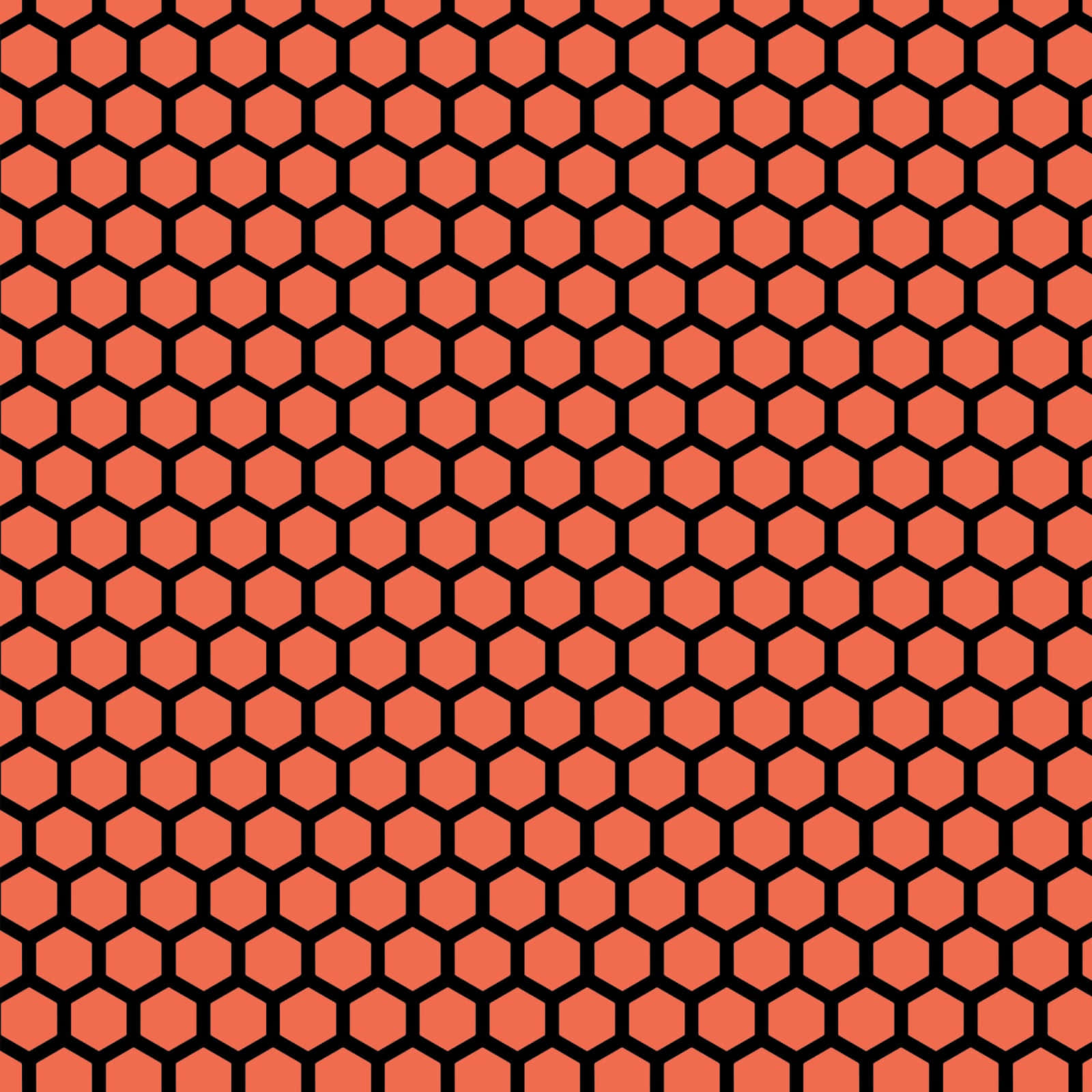 "The detailed pattern of a honeycomb reveals the complexity of nature"