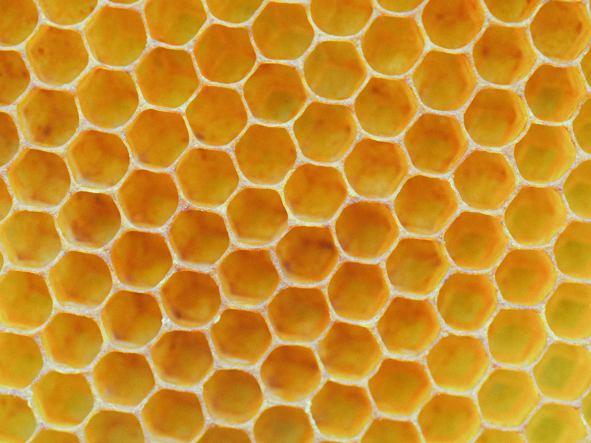 Honeycomb Bright Yellow