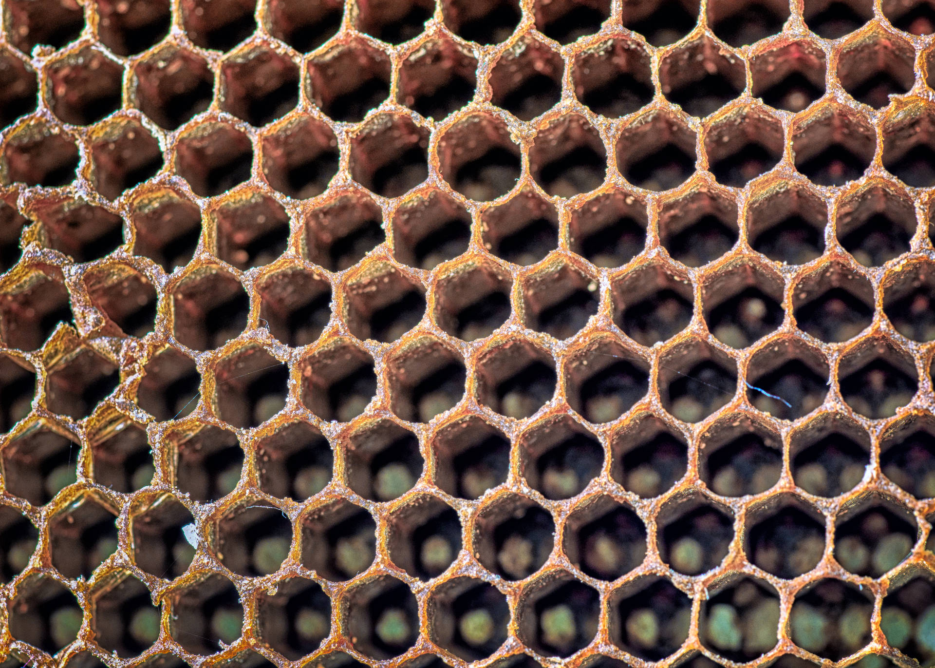 Honeycomb Empty And Flat