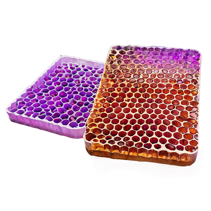 Honeycomb For Design Projects Png Krj PNG