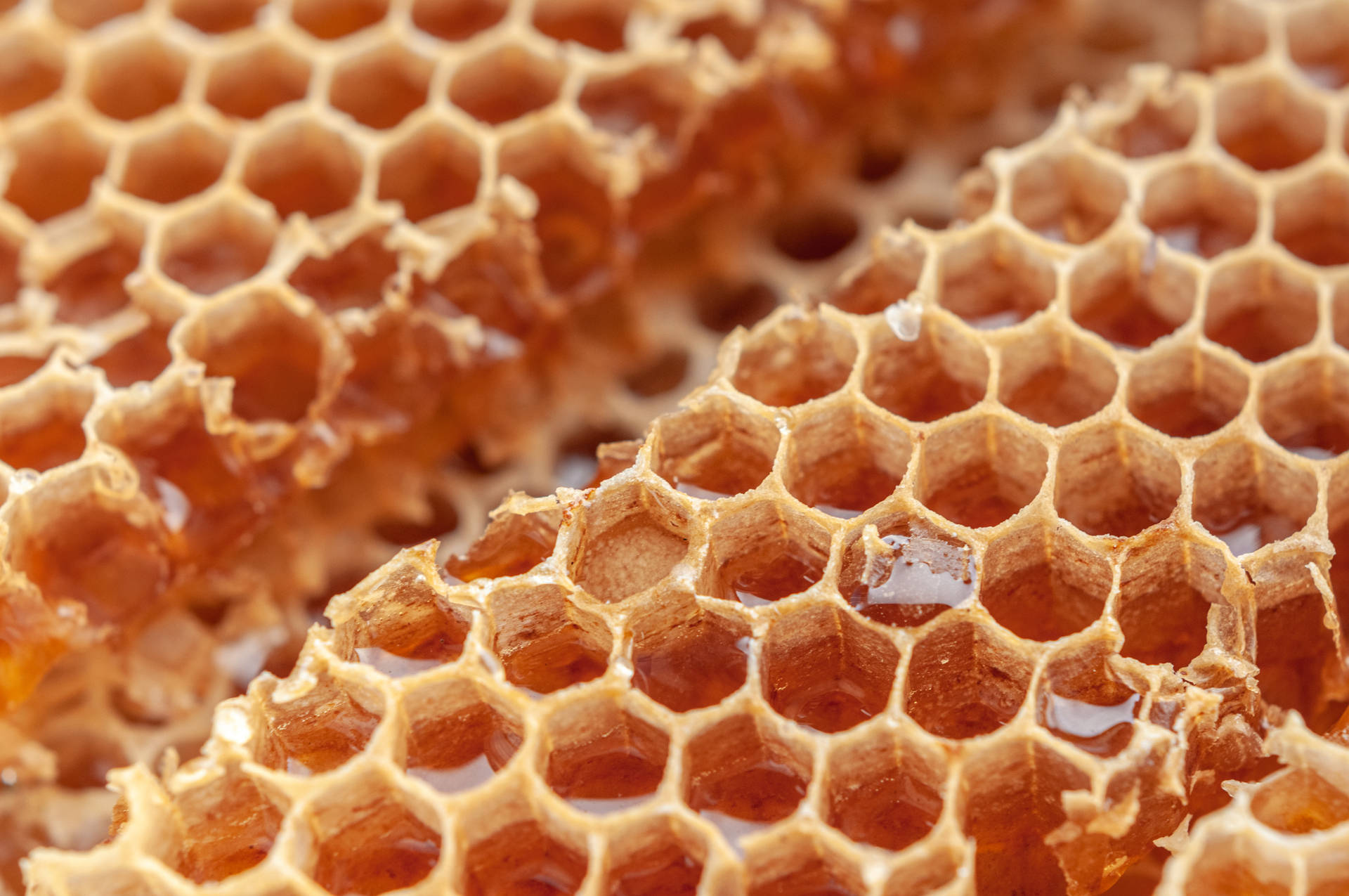 Honeycomb Lige Snit Wallpaper