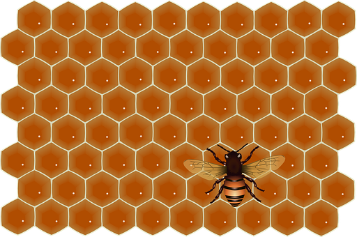 Honeycomband Bee Illustration PNG