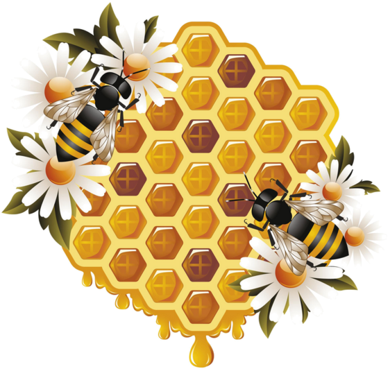 Honeycomband Bees Clipart PNG