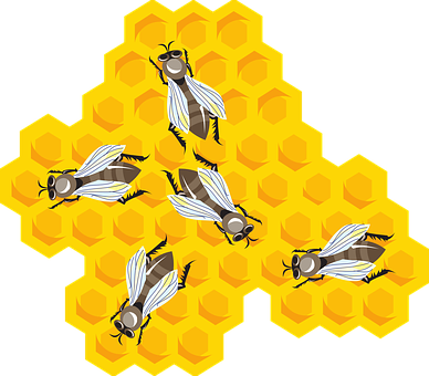 Honeycomband Bees Illustration PNG