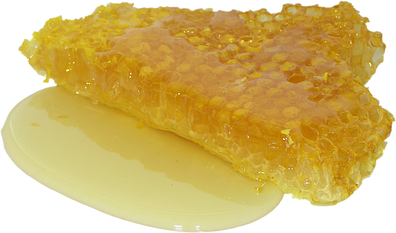 Honeycombwith Dripping Honey PNG