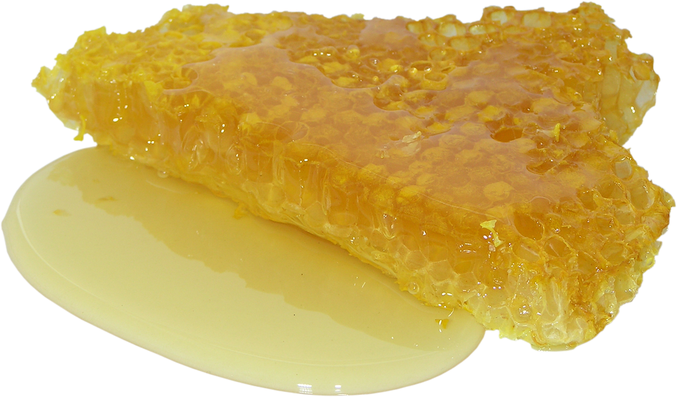 Honeycombwith Honey Dripping.png PNG