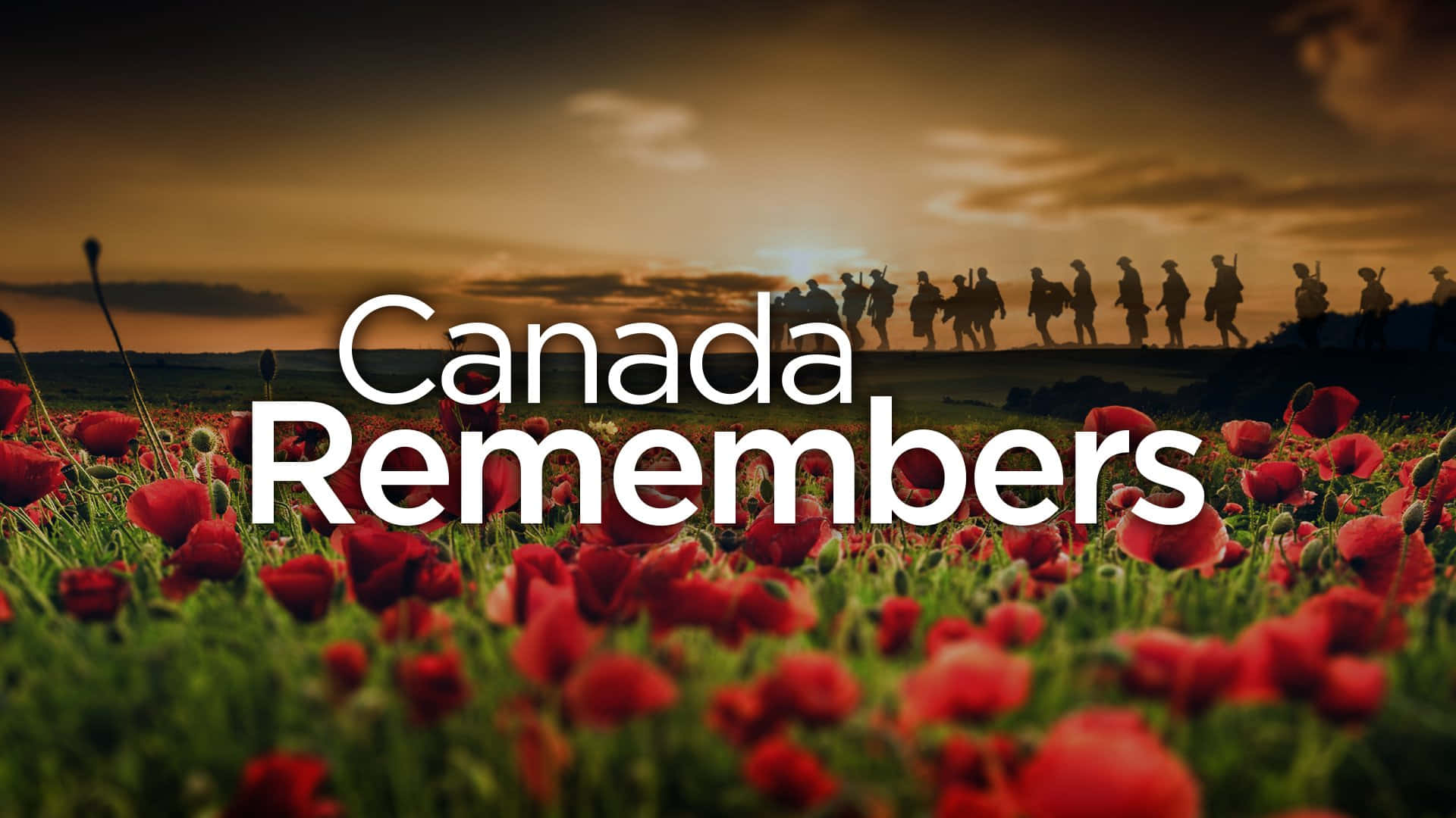 Honoring Heroes: A Solemn Remembrance Day In Canada. Wallpaper