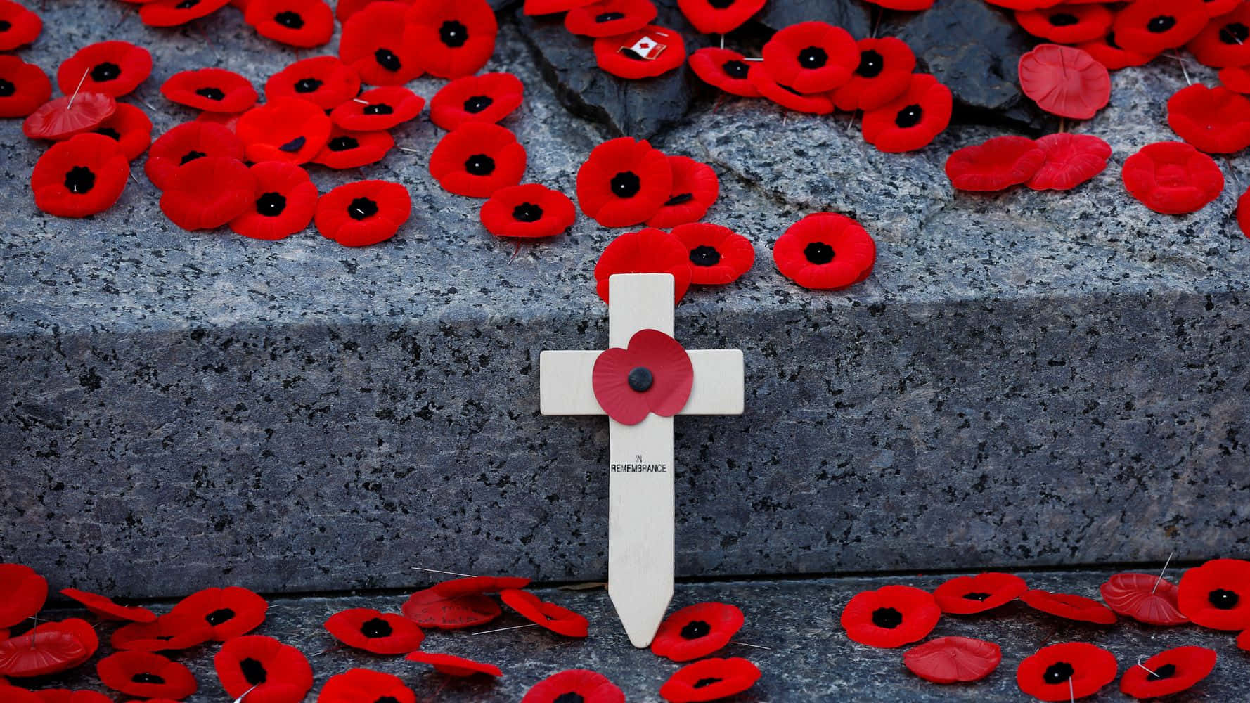 Honouring Heroes On Remembrance Day Wallpaper