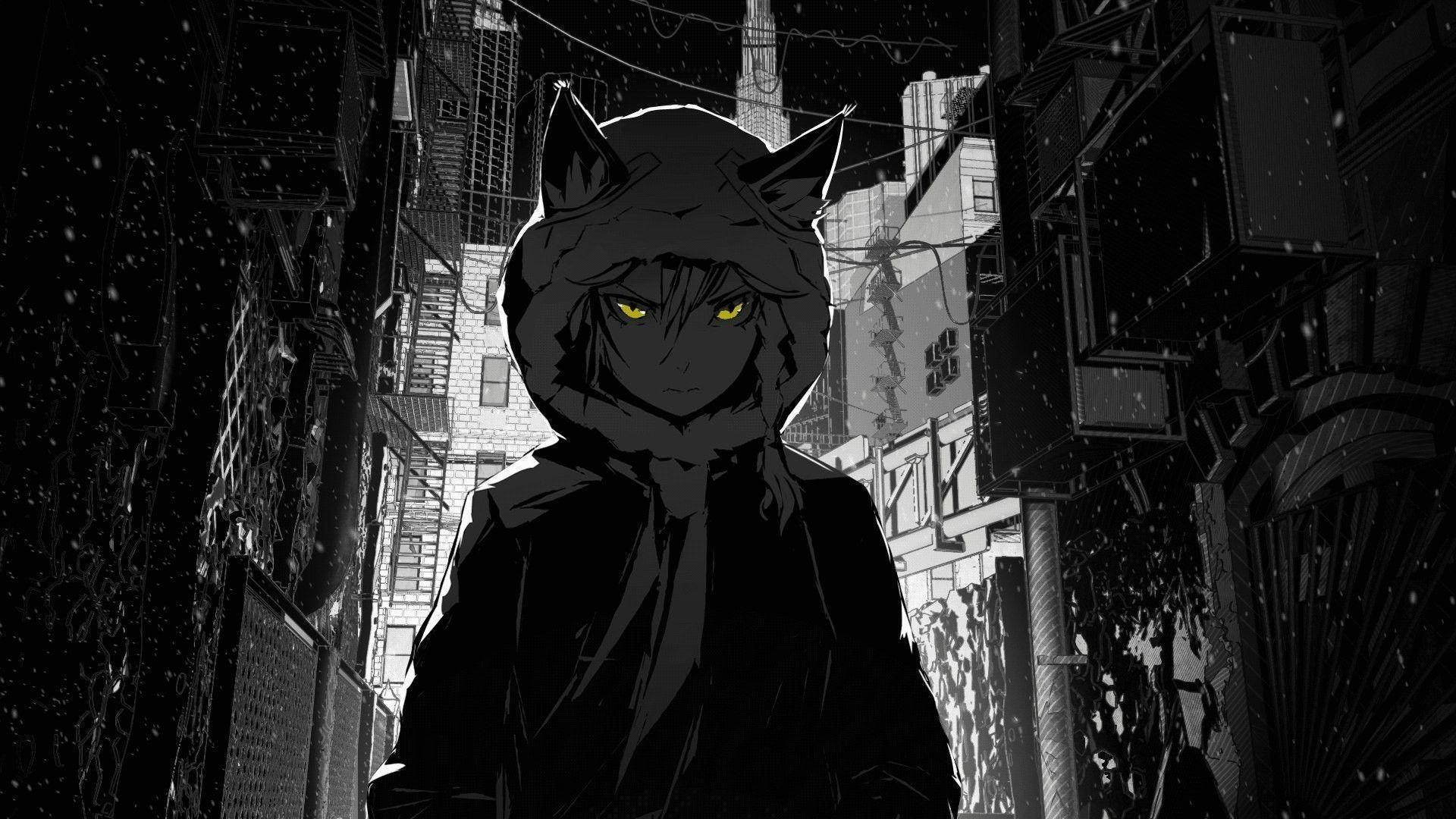 Mysterious Hooded Cat Girl in a Dark Anime Aesthetic Wallpaper