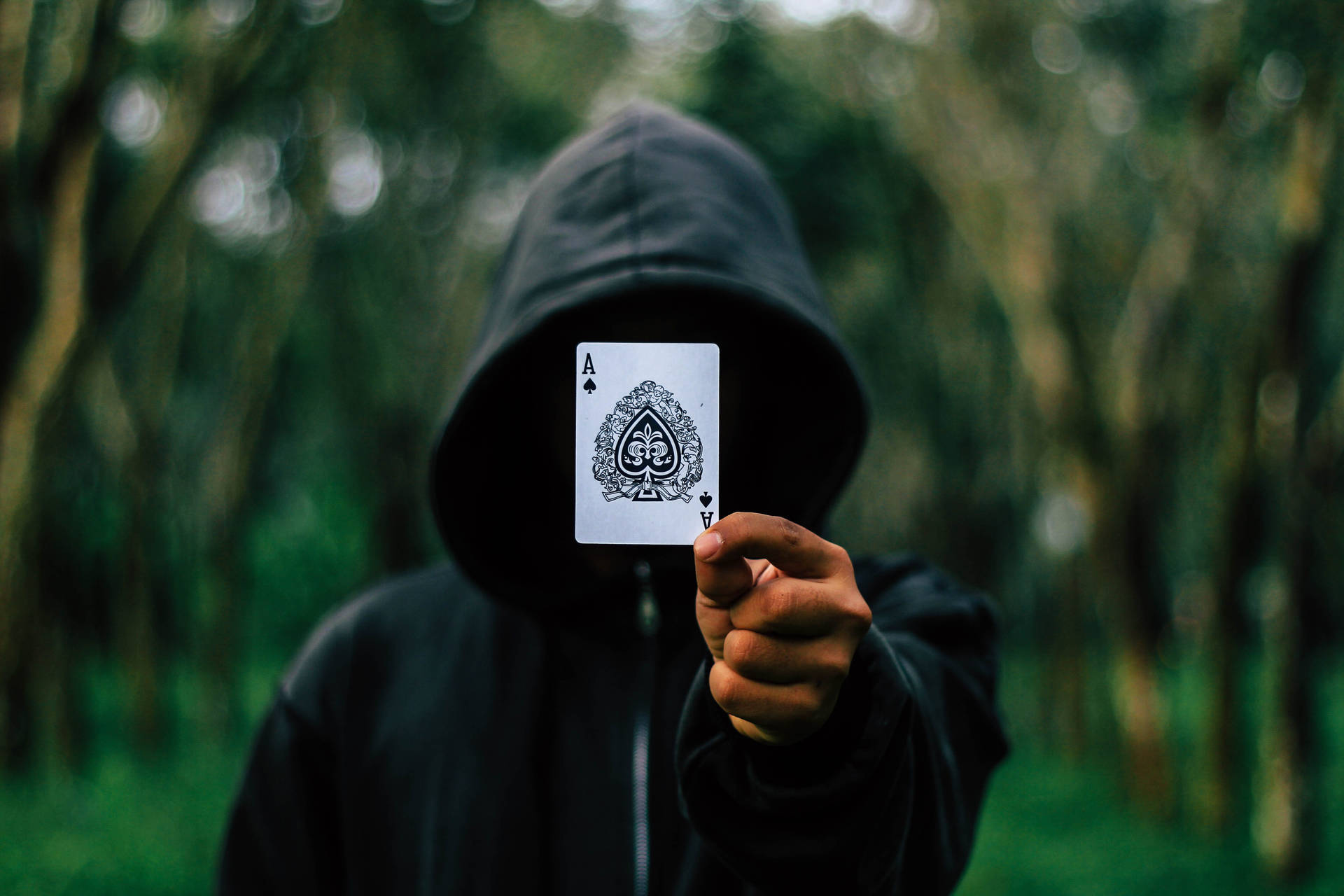 Mysterious hooded figure engrossed in a card game Wallpaper