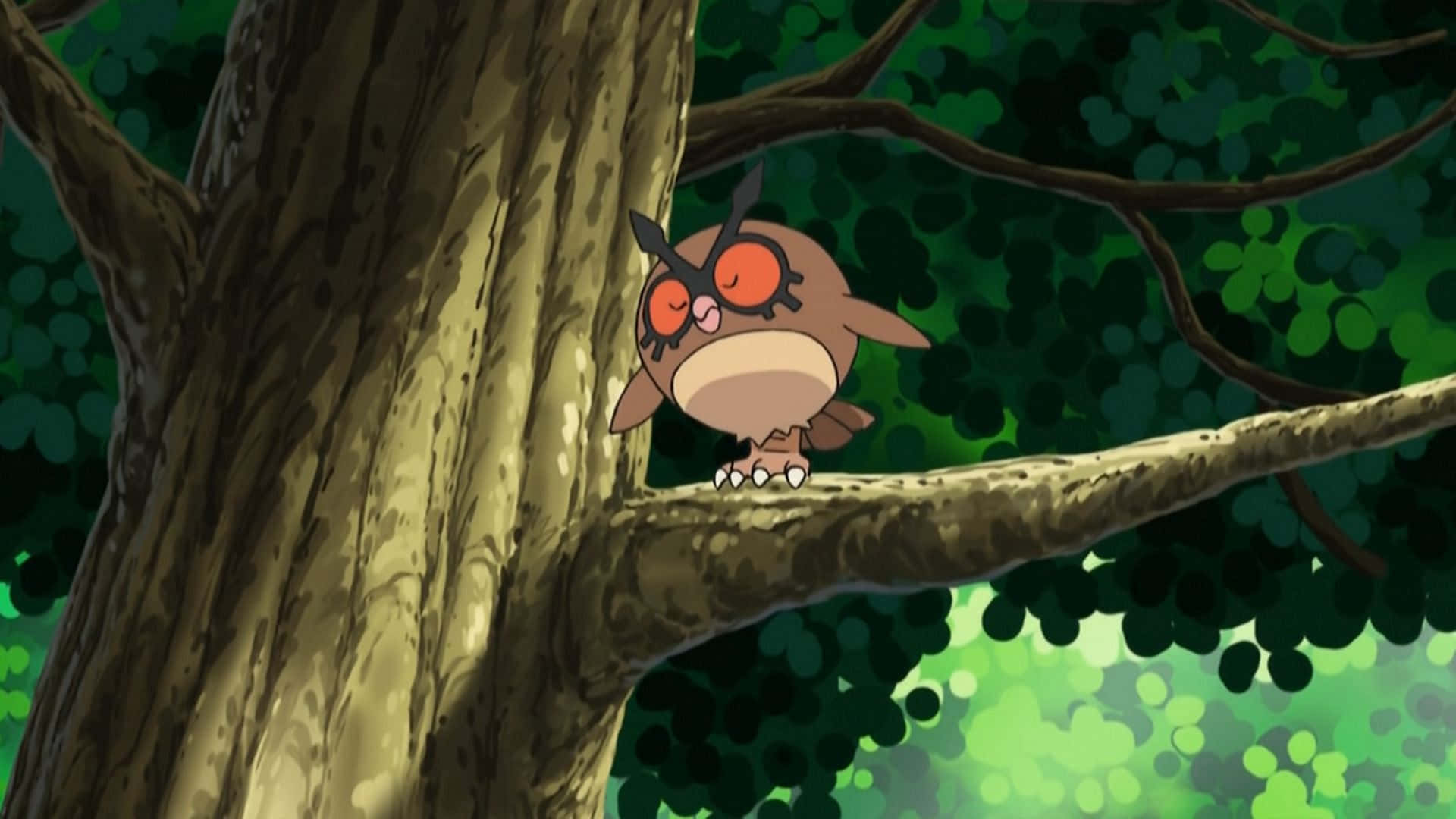 Hoothoot Perched On Tree Branch Wallpaper