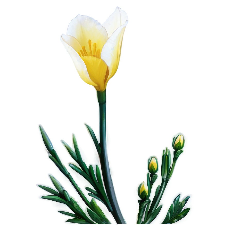 Hopeful Freesia Png Vsp84 PNG