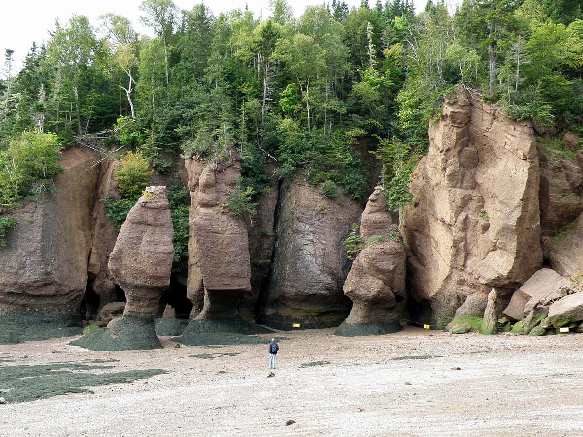 Formasi Hopewell Rocks New Brunswick Wallpaper