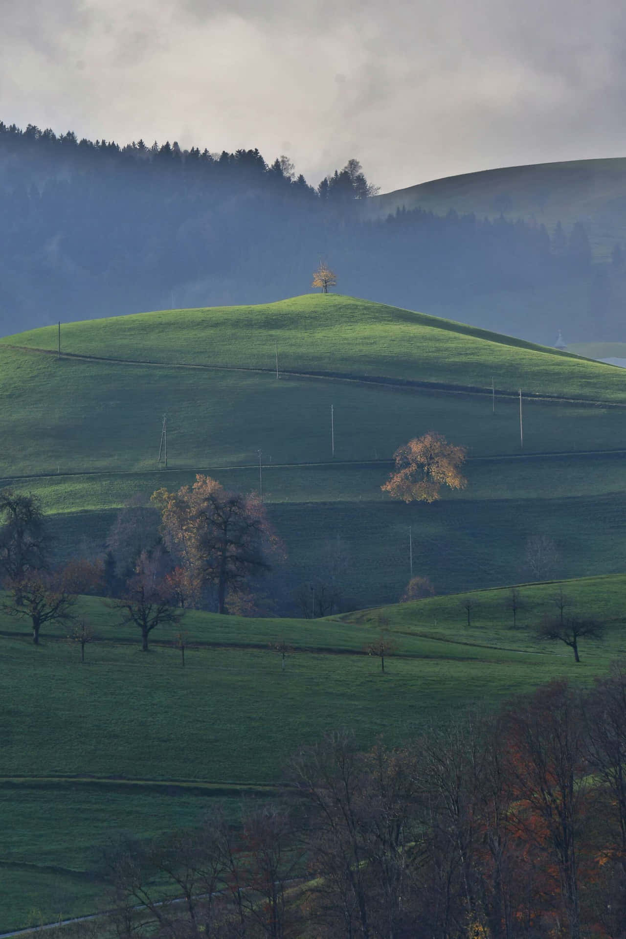 Horgen Switzerland Rolling Hills Wallpaper