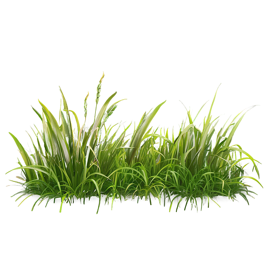 Horizontal Grass Clipart Png 06272024 PNG