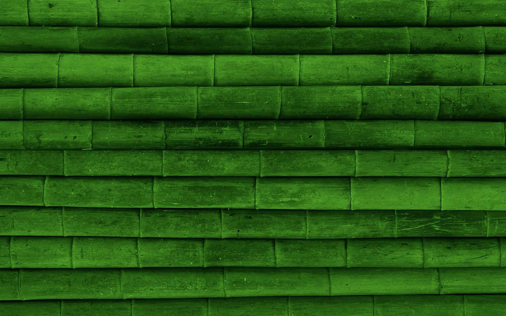 Imagende Textura Horizontal De Bambú Verde