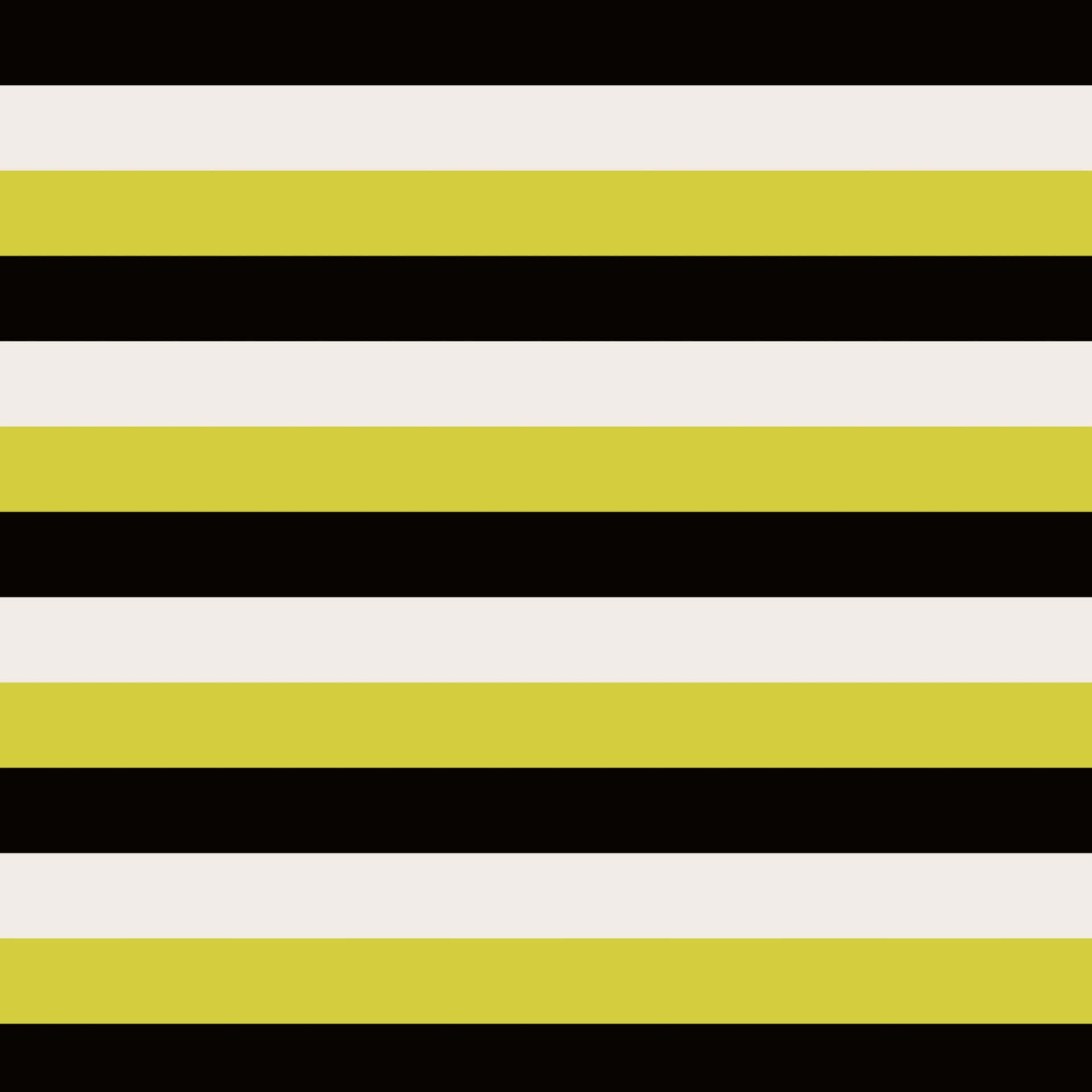 Horizontal Yellow Black White Stripes Picture