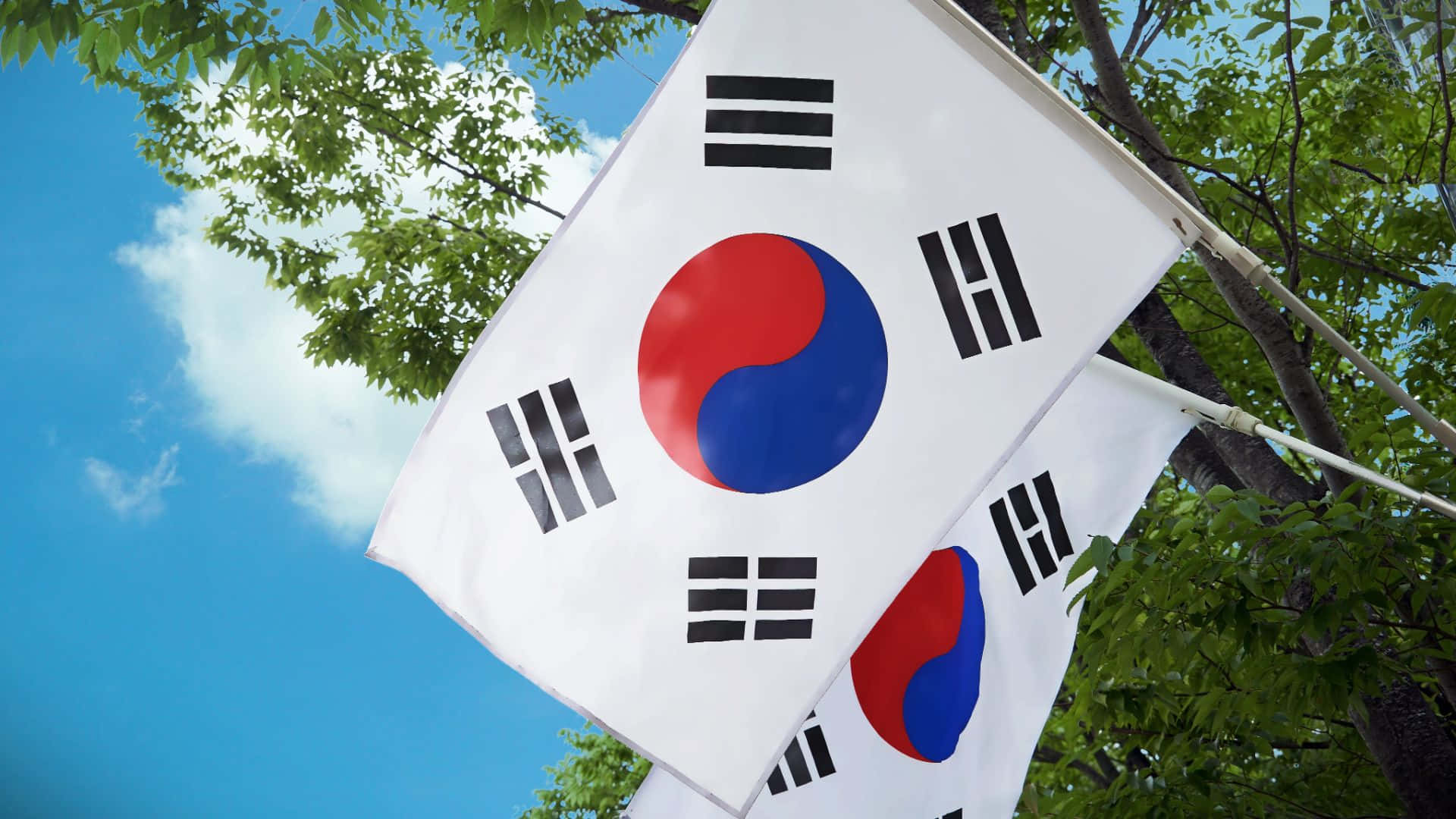 Horizontemoderno De Corea Del Sur Al Atardecer