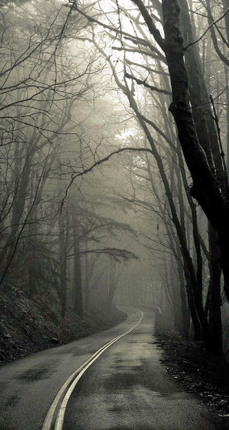 Horror iPhone Road In Forest Wallpaper