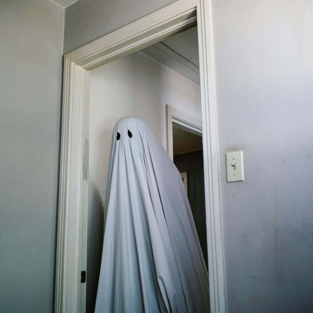 Horror Ghost Picture