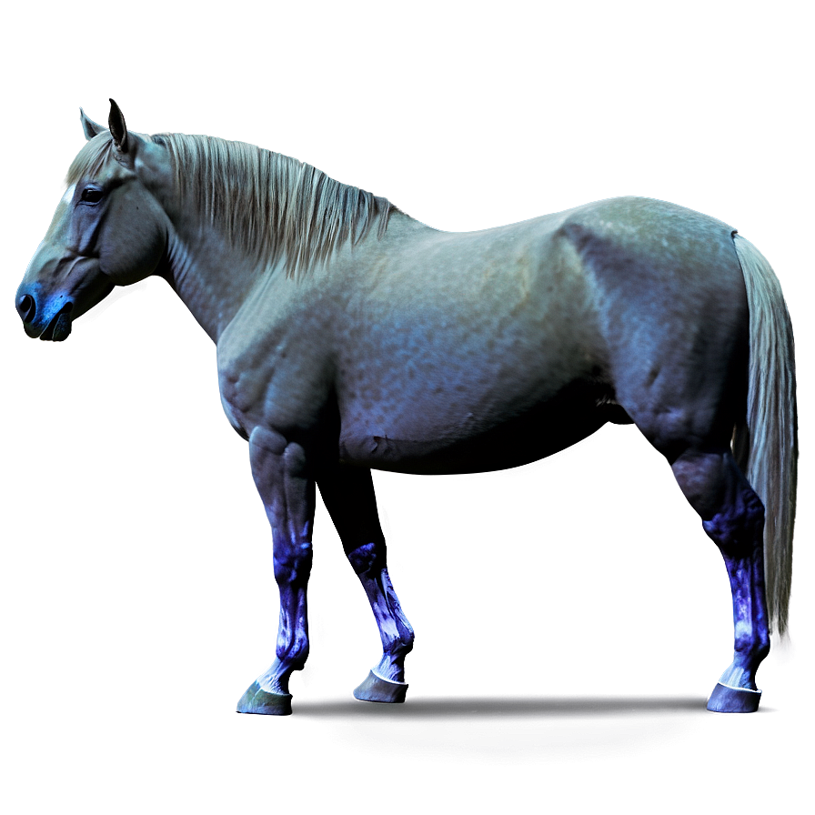 Horse A PNG