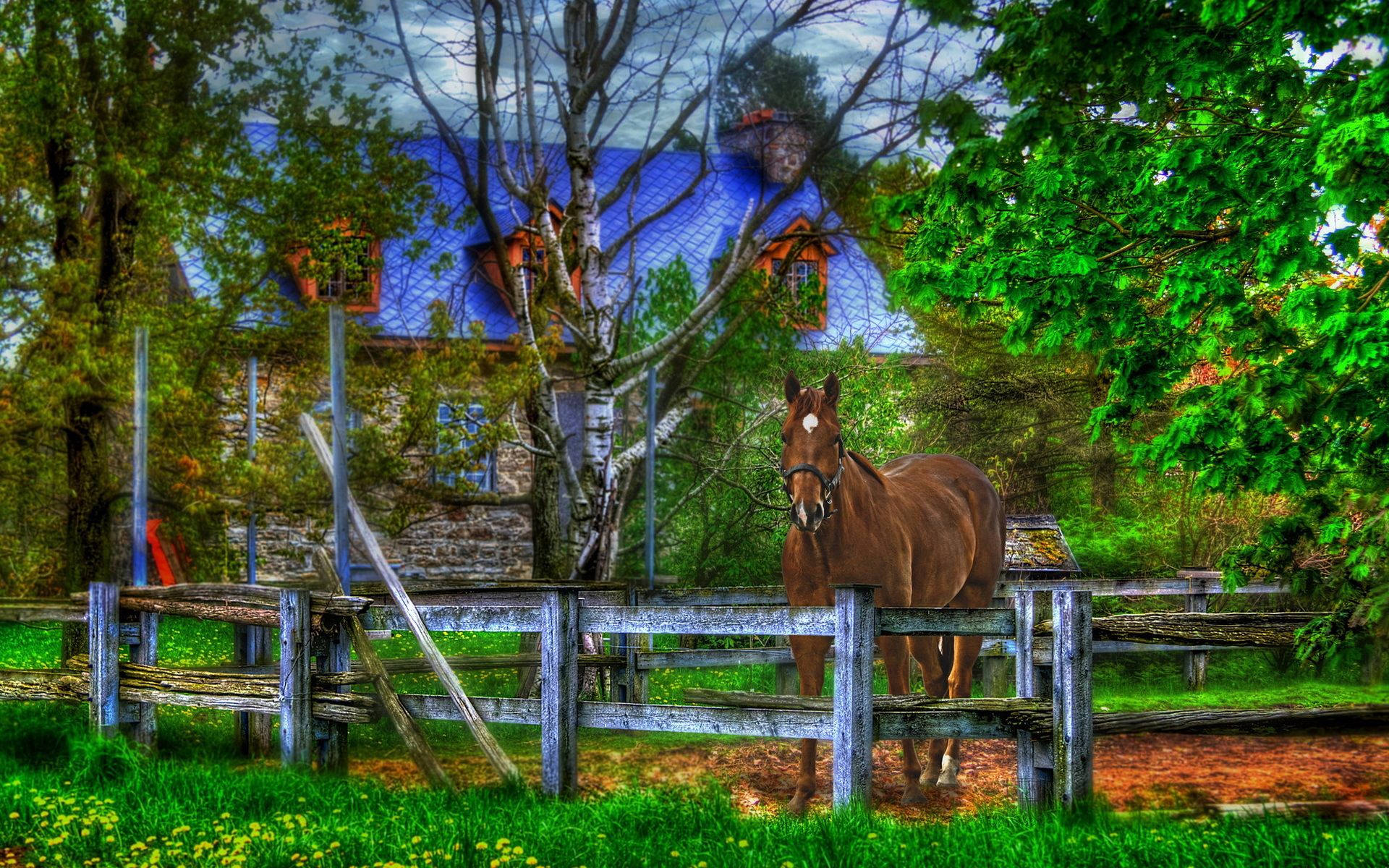 A horse standing in front of a house on a beautiful evening Wallpaper