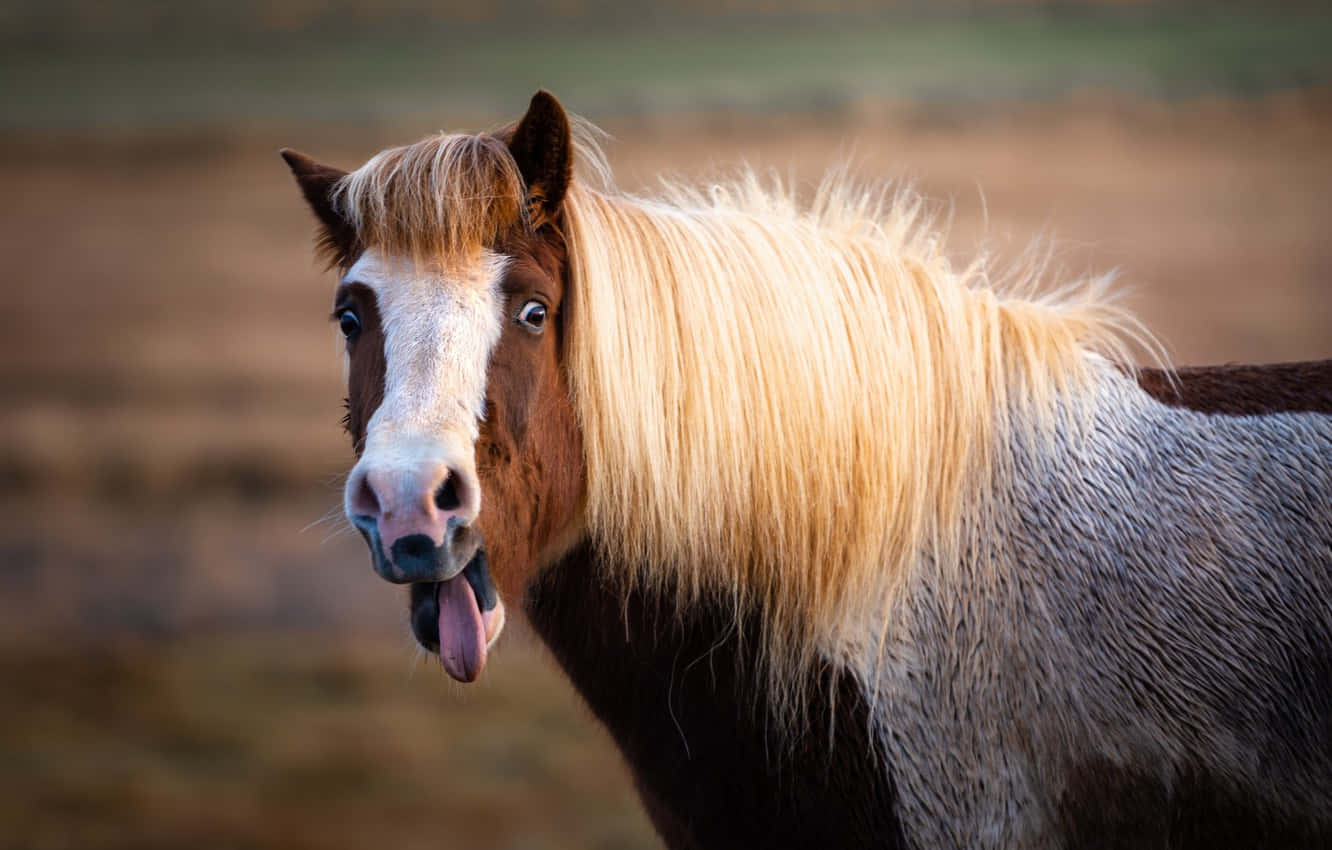 Majestic Horse enjoying nature