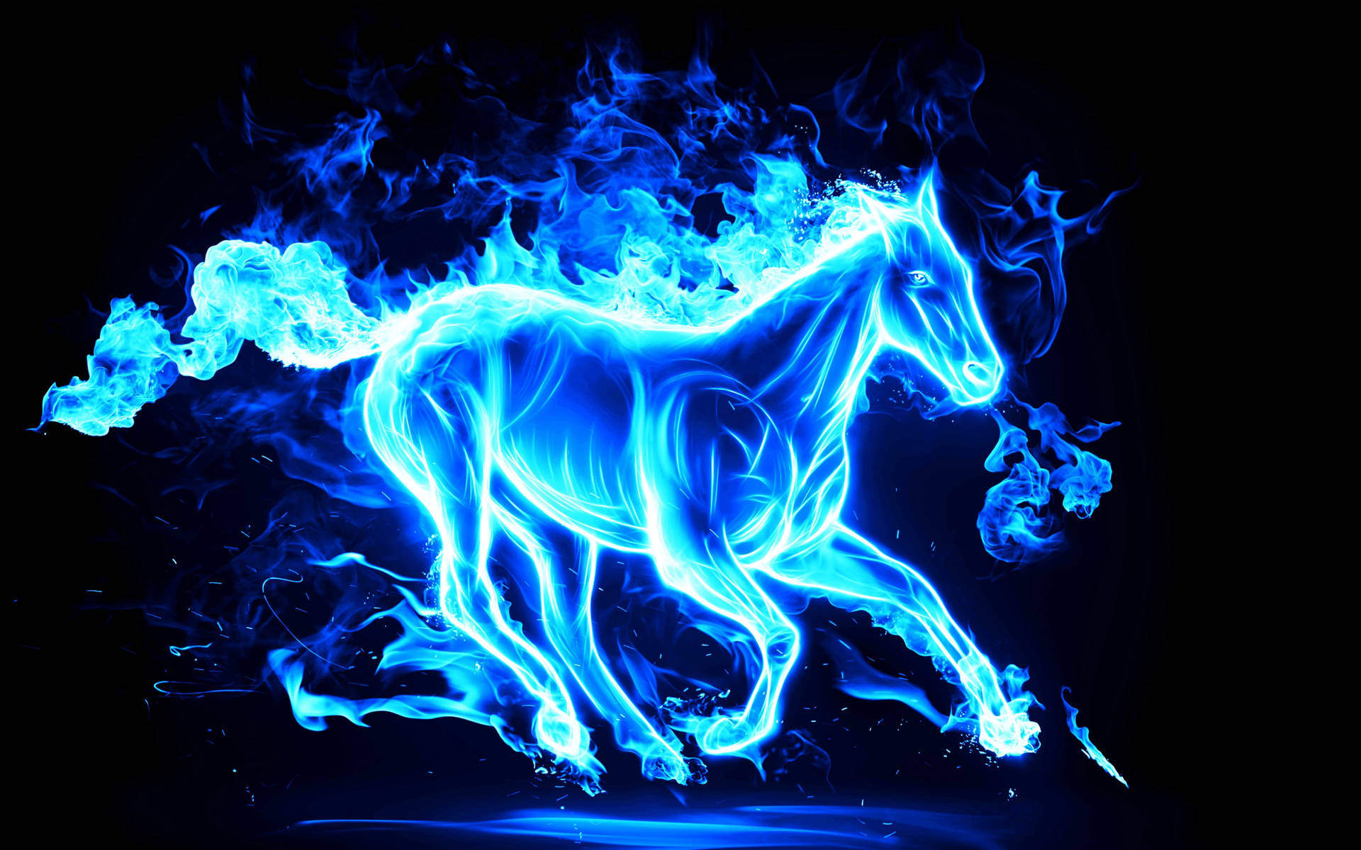 Horse Blue Flames Wallpaper