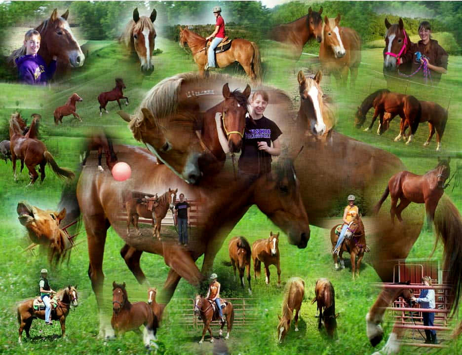 En farverig hest collage af majestætisk skønhed Wallpaper