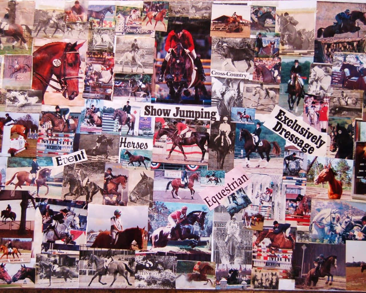 Et kollage af billeder af løbende heste Wallpaper