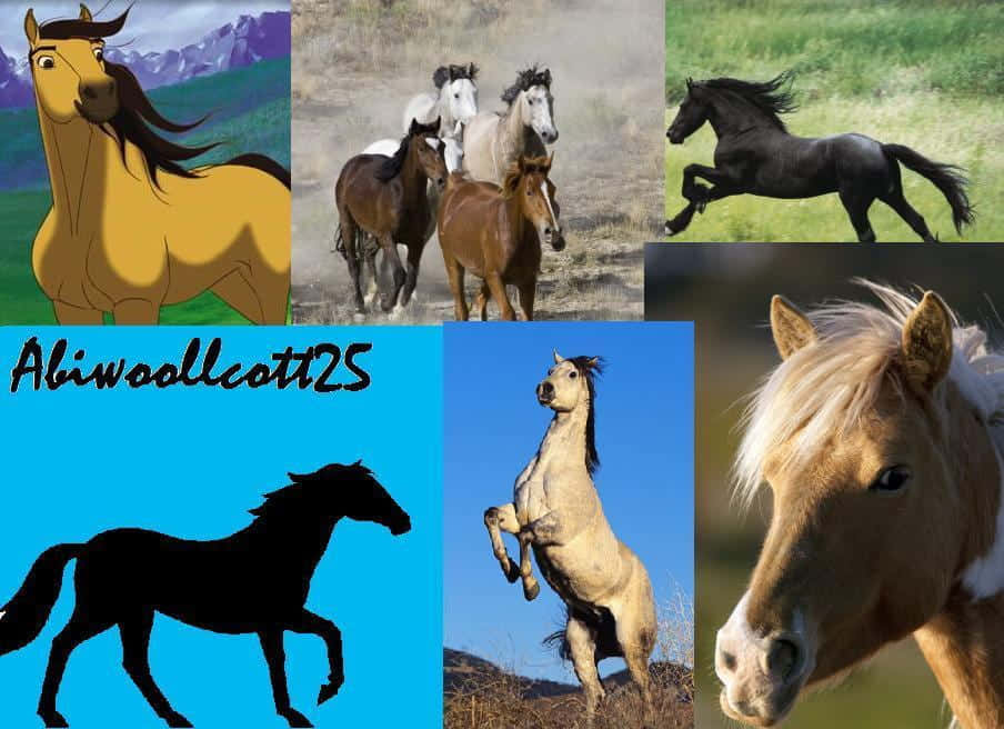 A Collage Of Horses With Different Colors Wallpaper