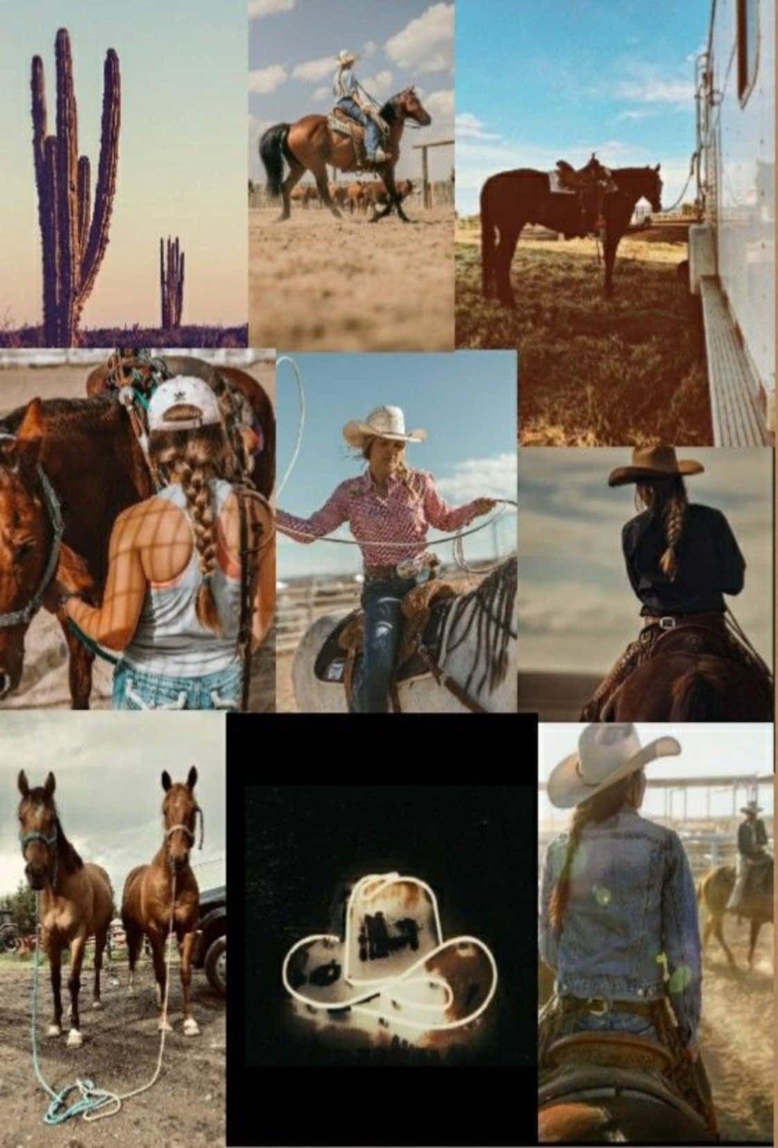 En collage af majestætiske heste galoperende gennem engen Wallpaper