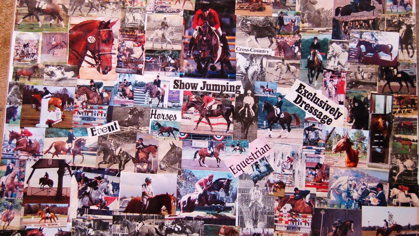 An Equine Collage to Capture the Beauty of Horseback Riding Wallpaper