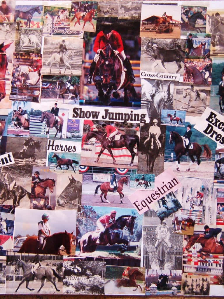 Udforsk verden af ​​hestevæddeløb med dette Hest Collage. Wallpaper