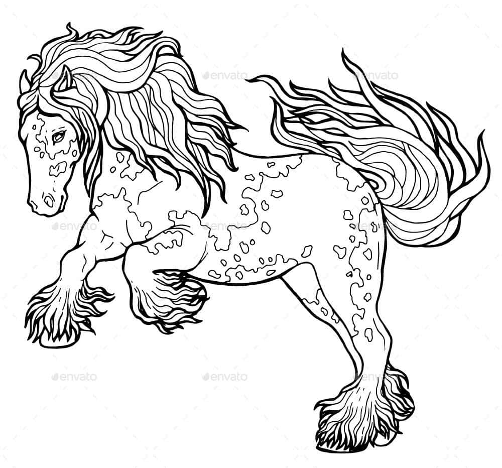 Adult coloring book page of a white horse