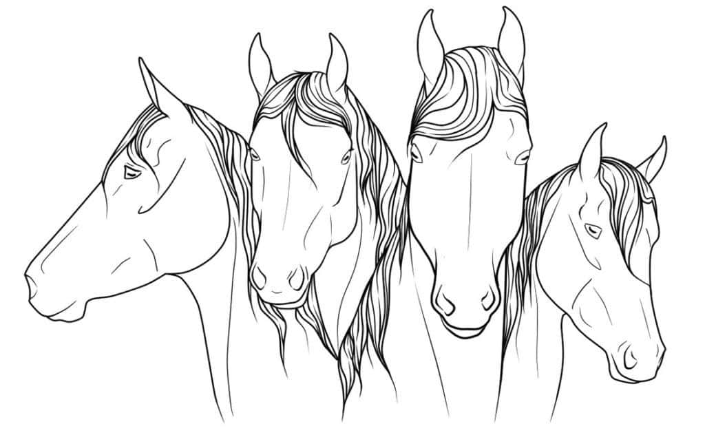 Picture  Dream Big With Horse Coloring Pictures