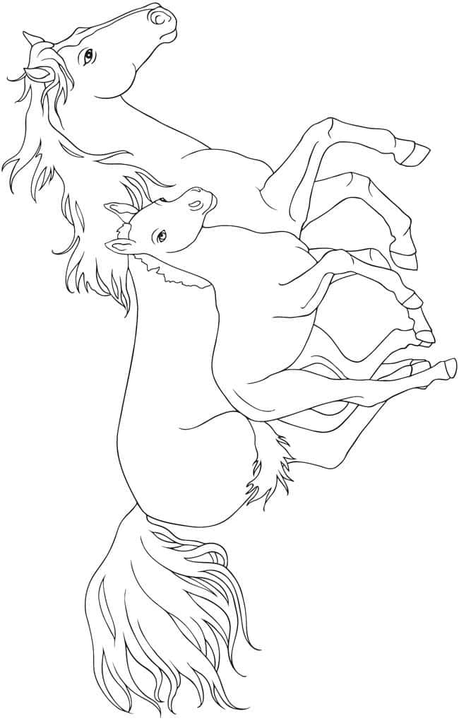 Bring your coloring skills to life with this beautiful horse coloring page.