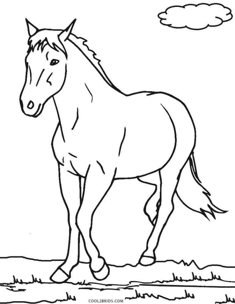 Horse Coloring Pages For Kids