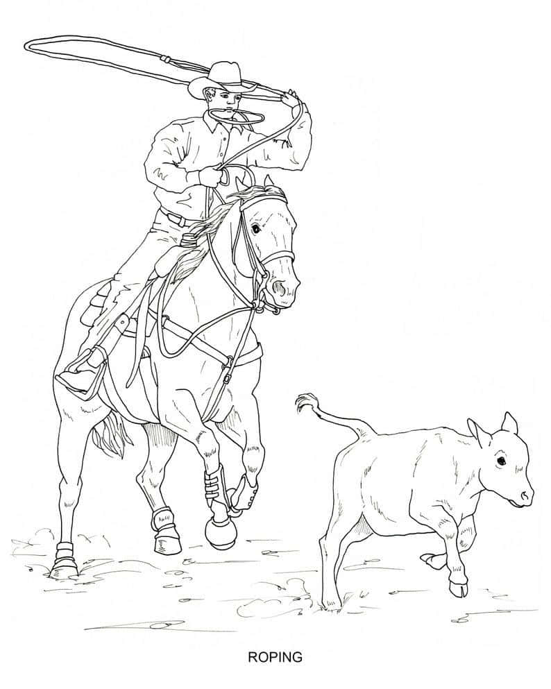 Encowboy Som Rider En Häst Och En Ko