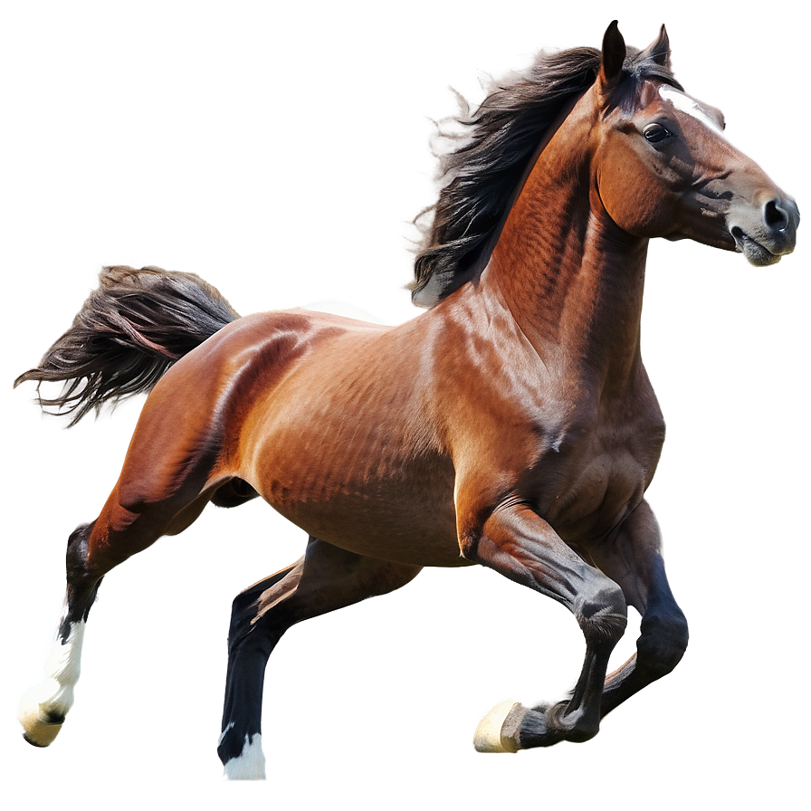 Horse Gallop Png 3 PNG