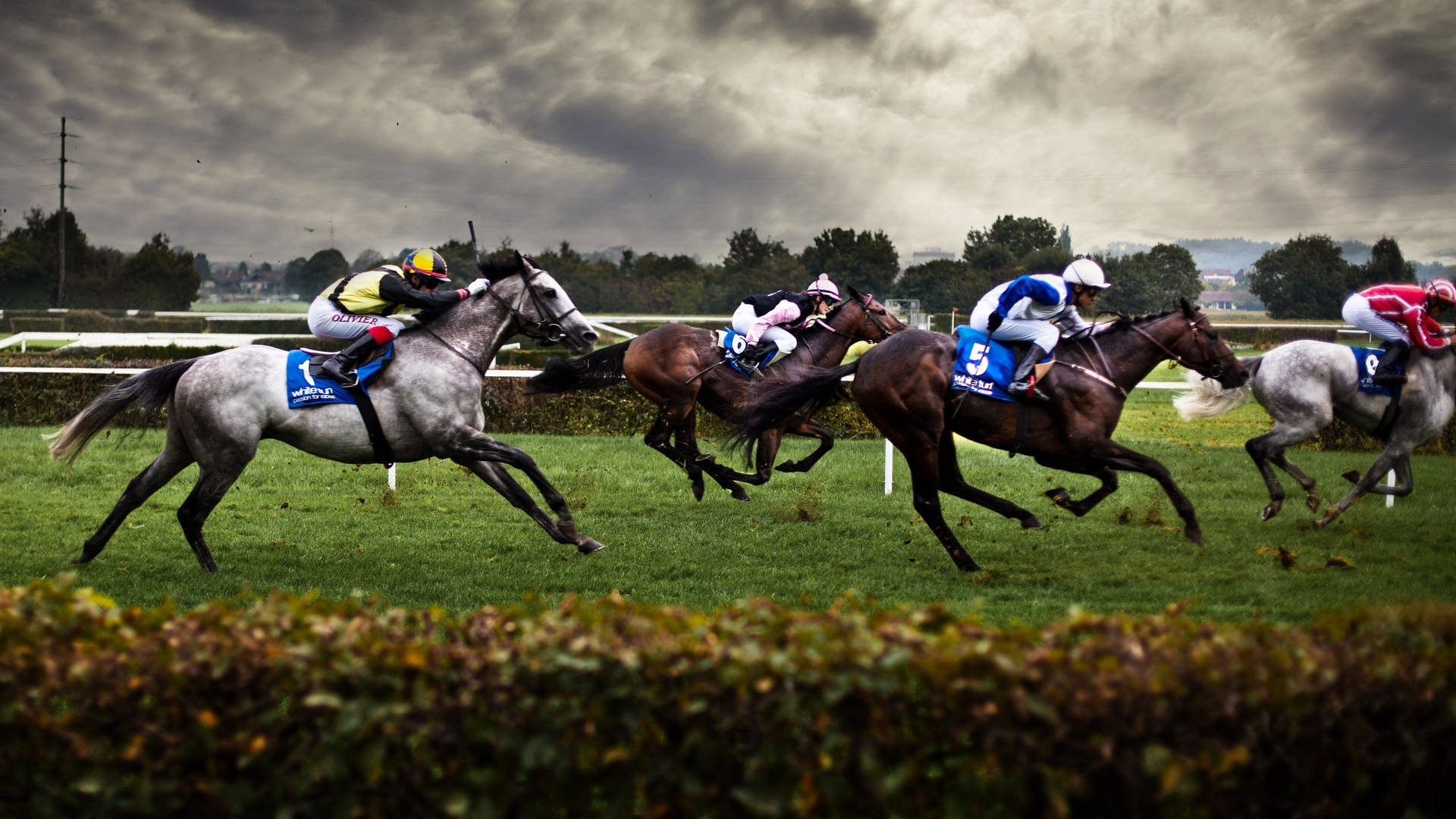 Horse Racing In A Bad Weather Wallpaper