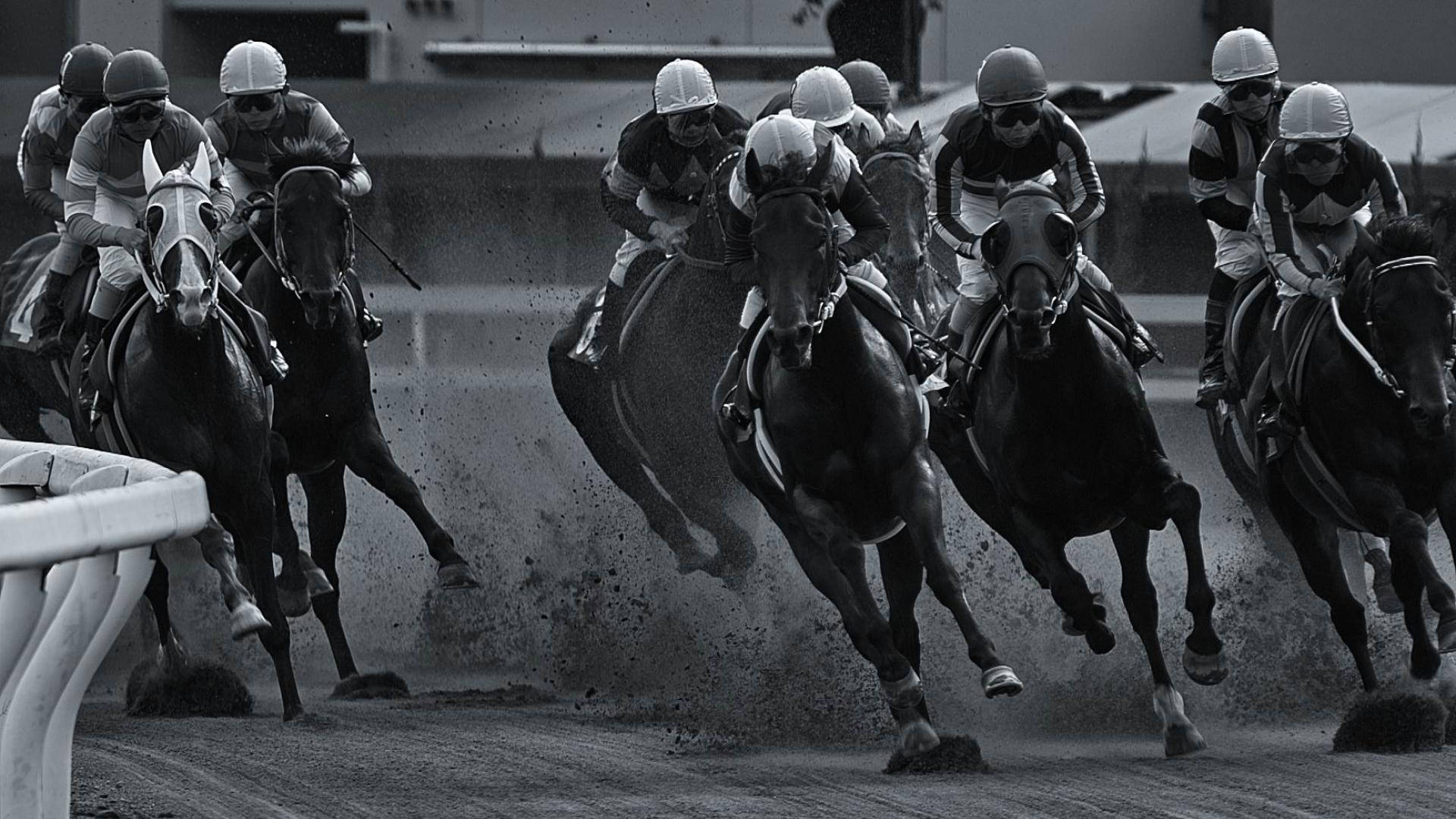 Download Horse Racing In Black And White Wallpaper 