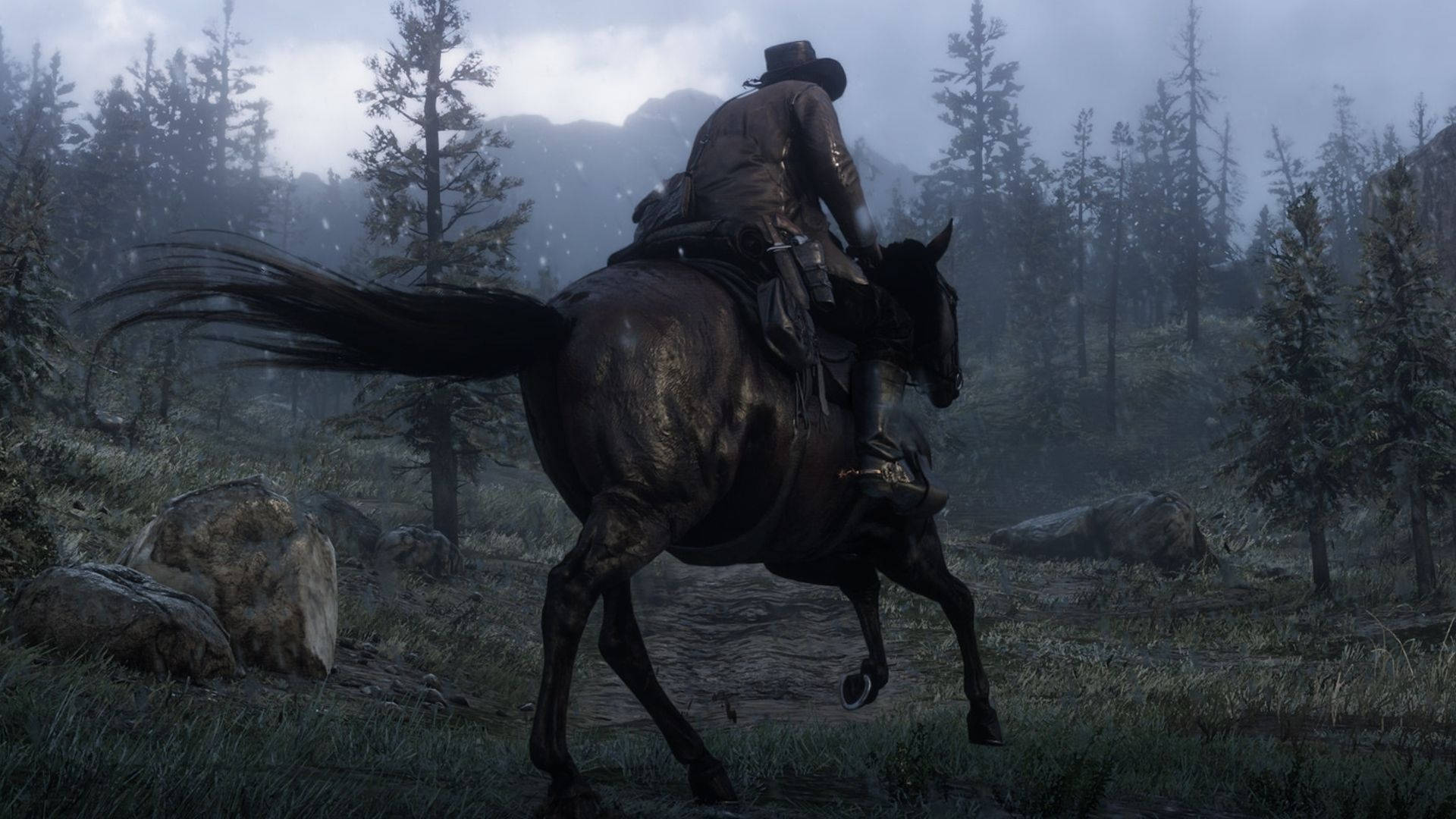 Udforsk grænserne med din ædle hest i Red Dead Redemption 2 tapet. Wallpaper