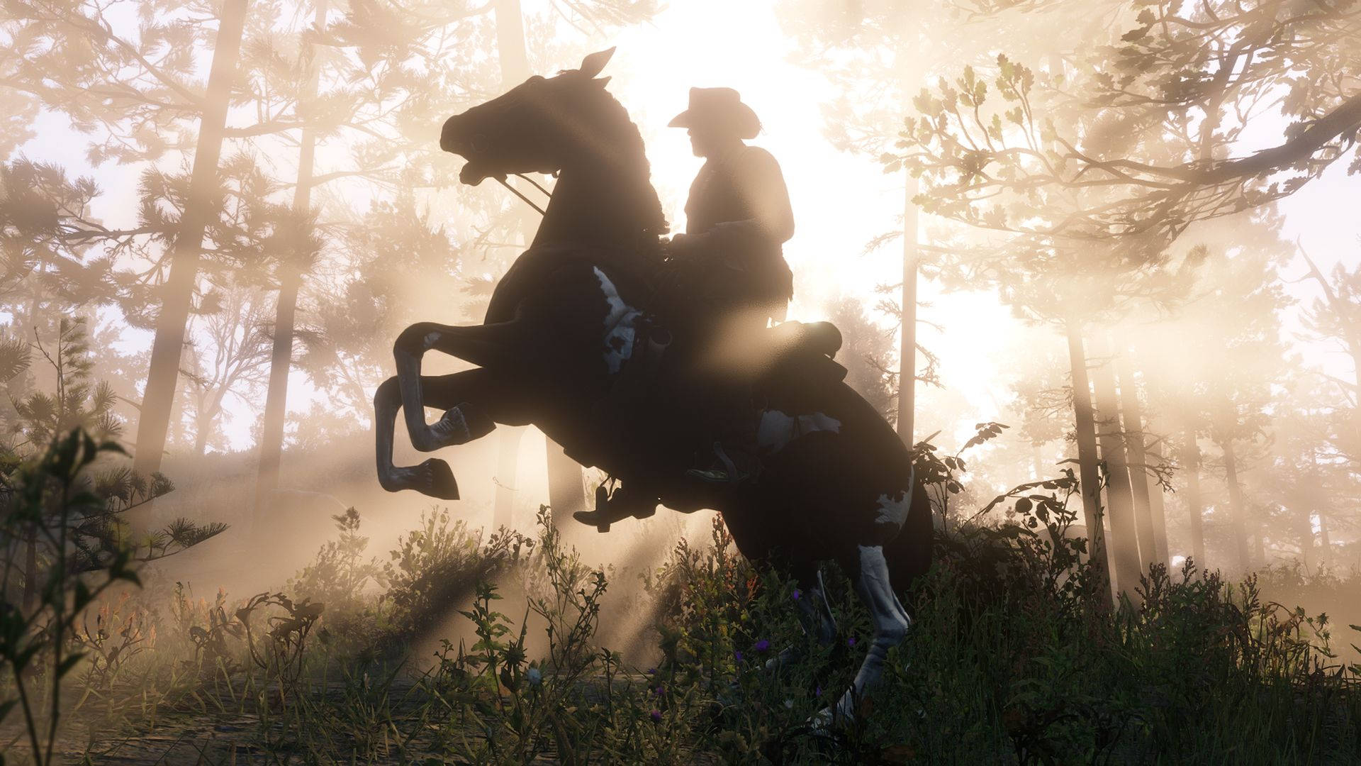 Ride Into Adventure on the Back of the Beautiful Horse in Red Dead Redemption 2 Wallpaper