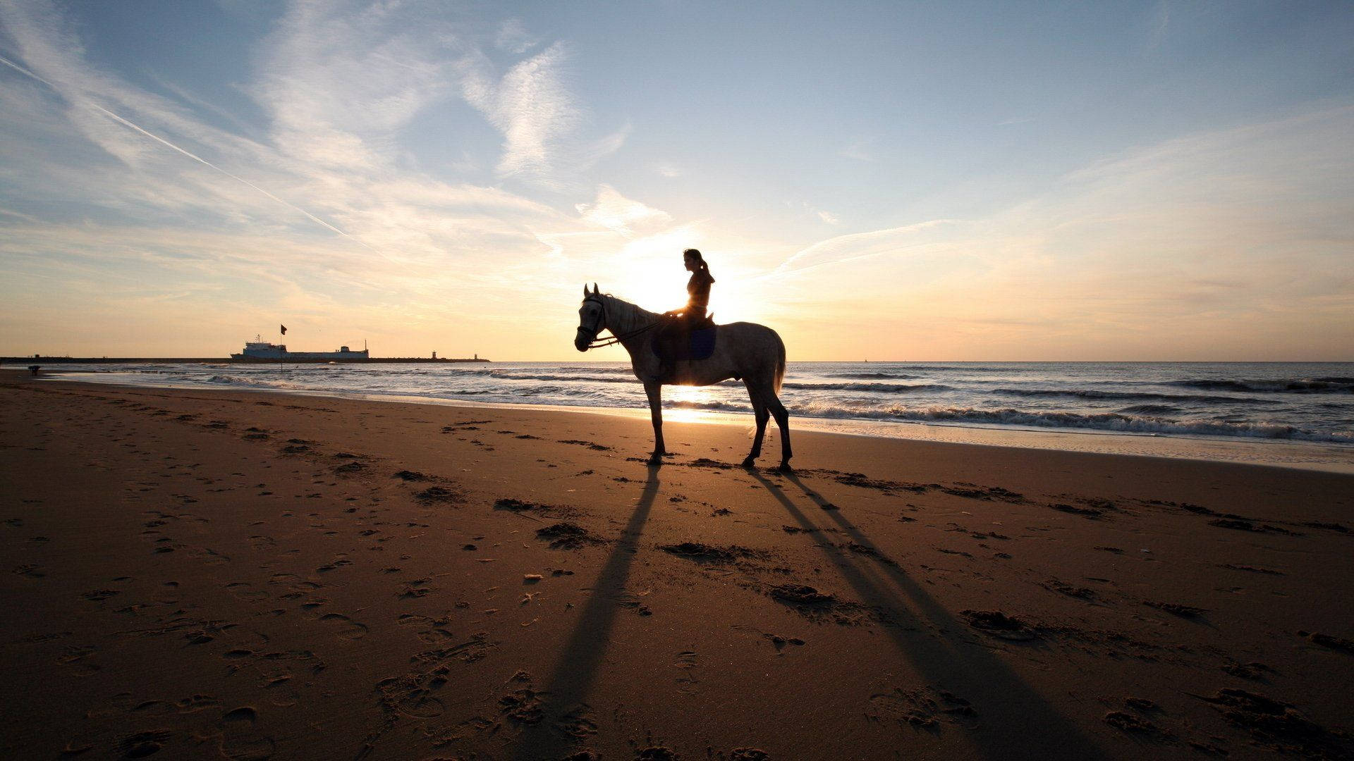 Horse Riding Beach Sunrise Ocean View Wallpaper