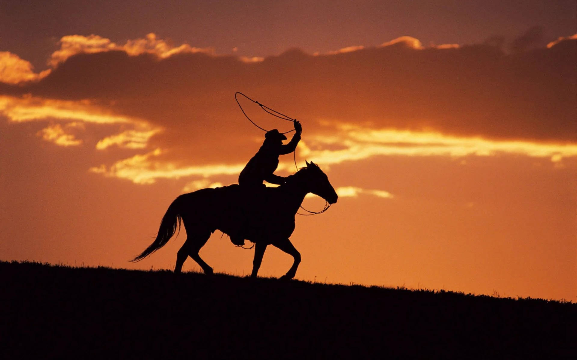 Horse Riding Cowboy Silhouette Sunset Wallpaper