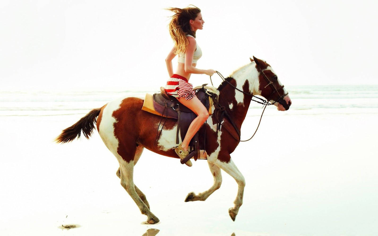 Horse Riding Gisele Bündchen Hot Model Beach Wallpaper