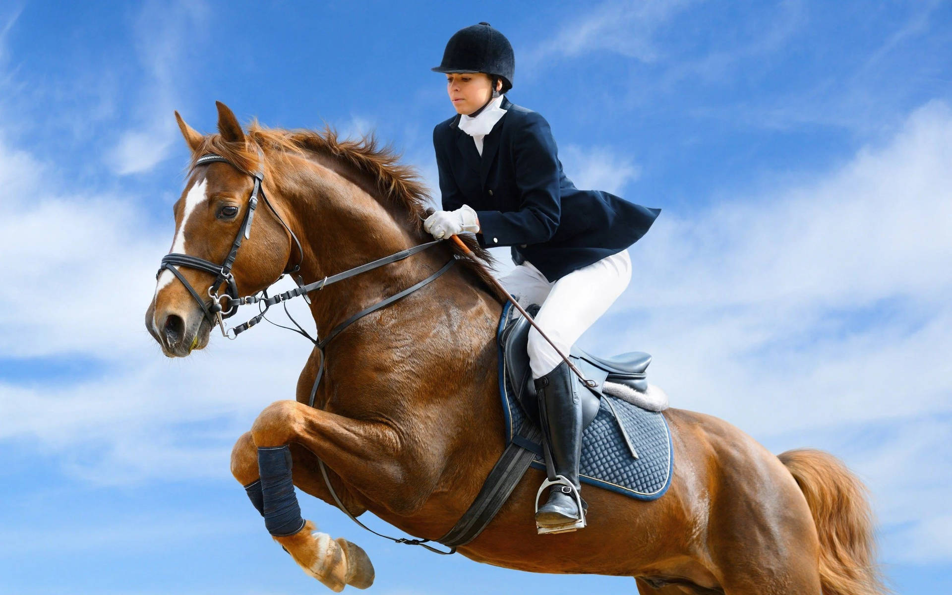 Horse Riding Jump Woman Equestrian Wallpaper