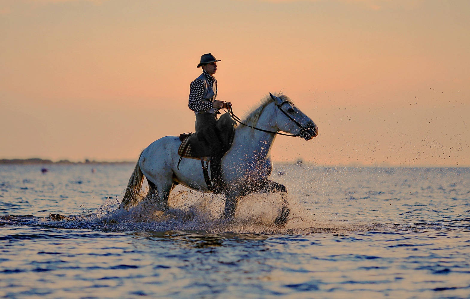 Horse Riding Sea Water Sunset Scenic View Wallpaper
