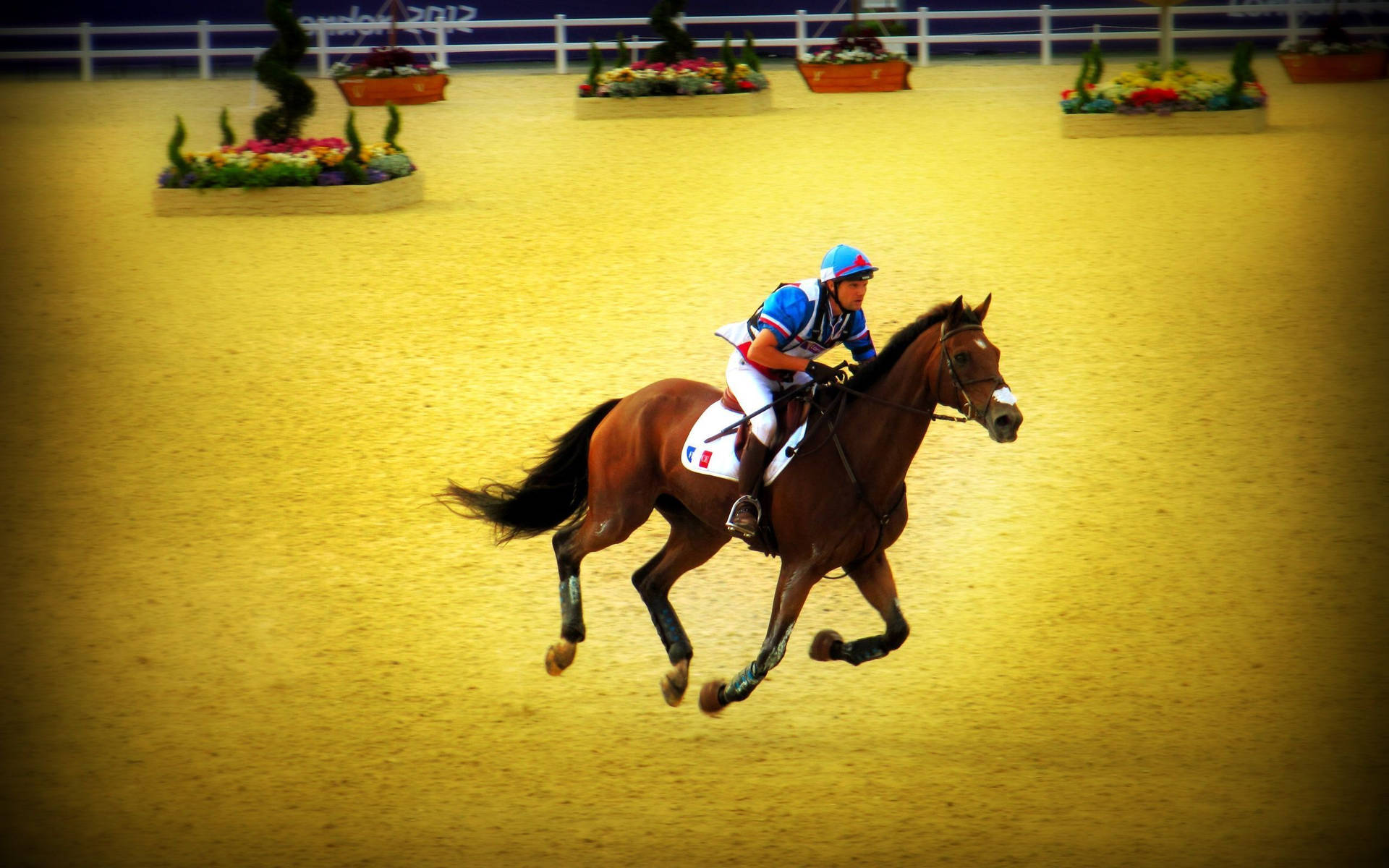Horse Riding Sports Competition Vignette Wallpaper
